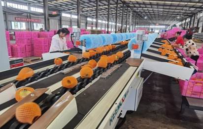 1631859637148441.jpg 2dbde927ccd8dbca39a5f267198808a