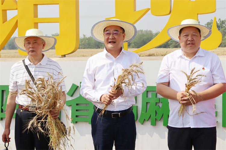 1652176580147129.jpg IMG_4035_副本.jpg