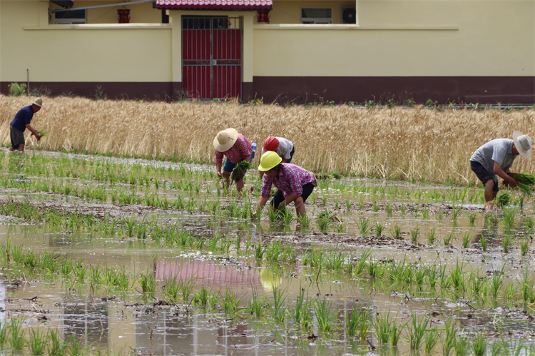 1652262374934616.jpg IMG_4236.jpg